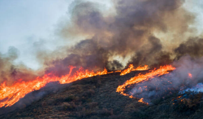 Hillside on fire and wildfires