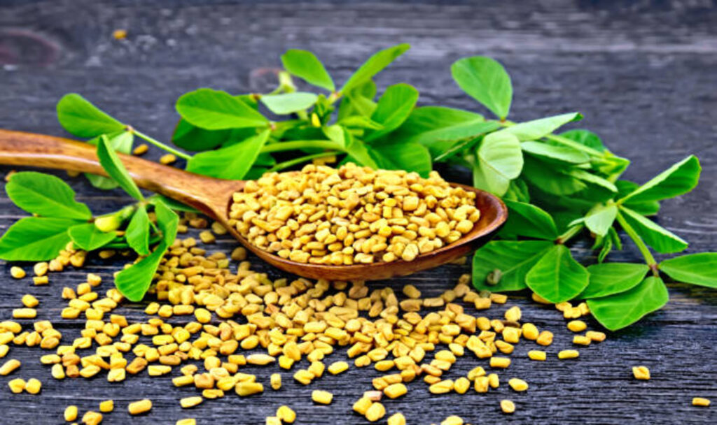 fenugreek-with-leaf