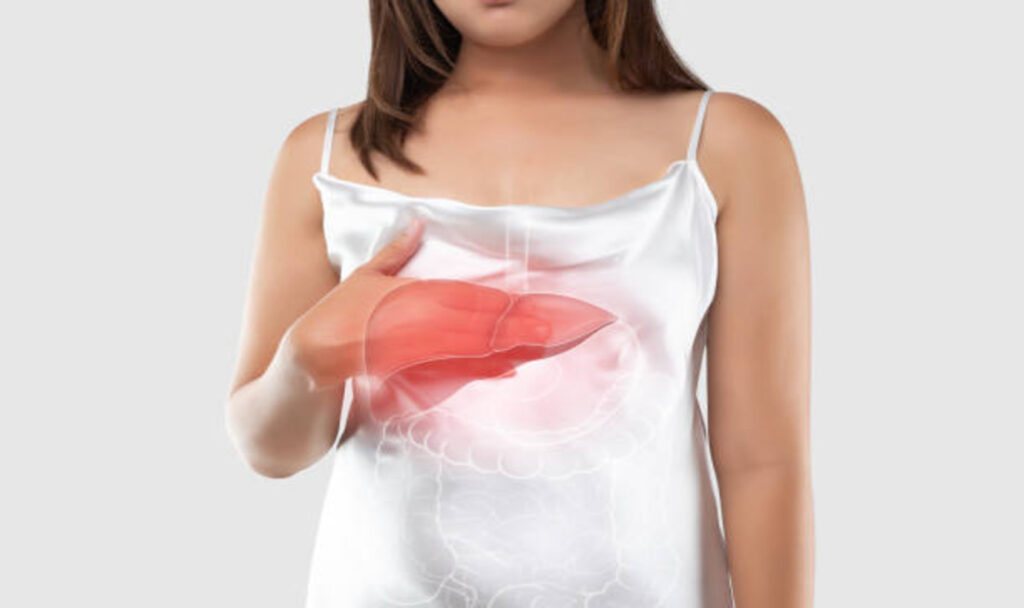 Illustration of liver in woman body