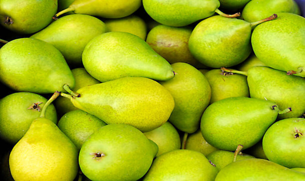 Pile of fresh pear