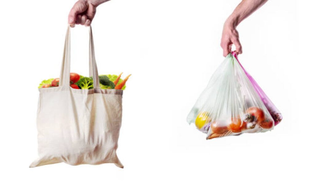 Plastic bag and fabric bag