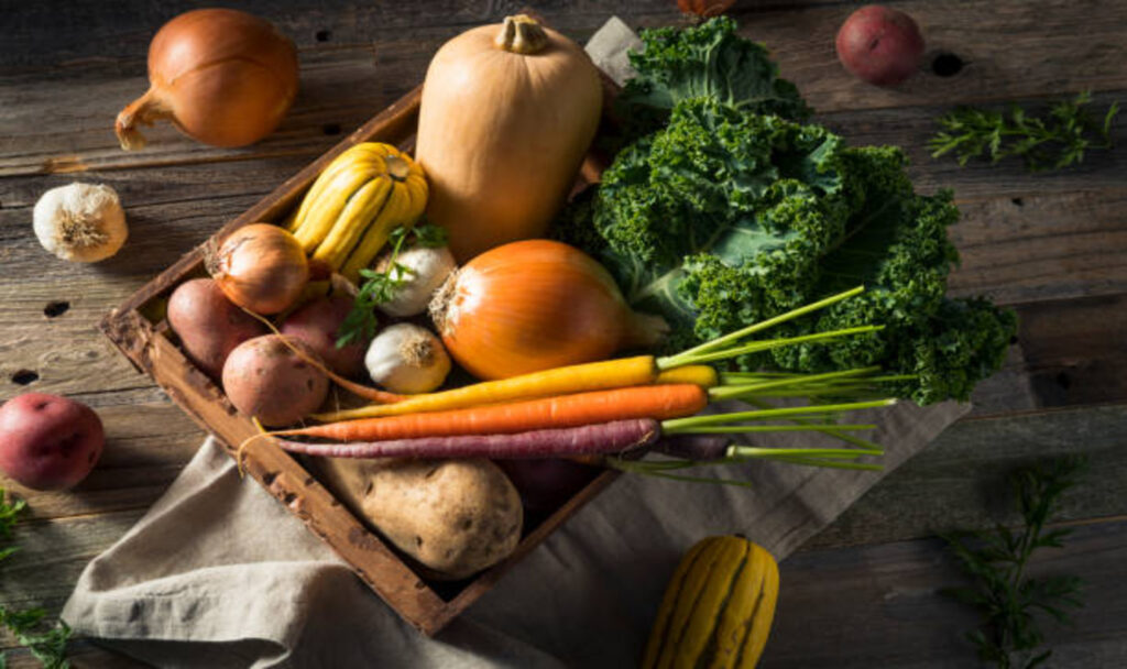 Organic fresh vegetables