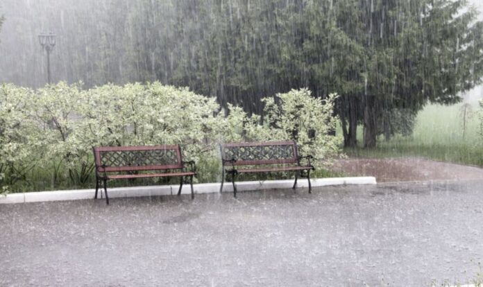 Heavy rainfall in park