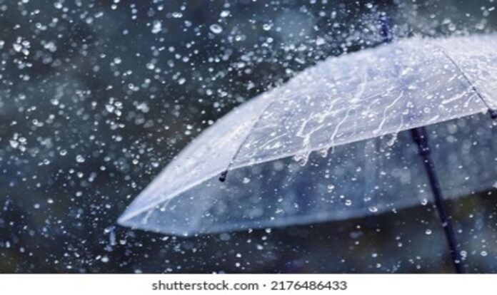 Transparent umbrella in rain