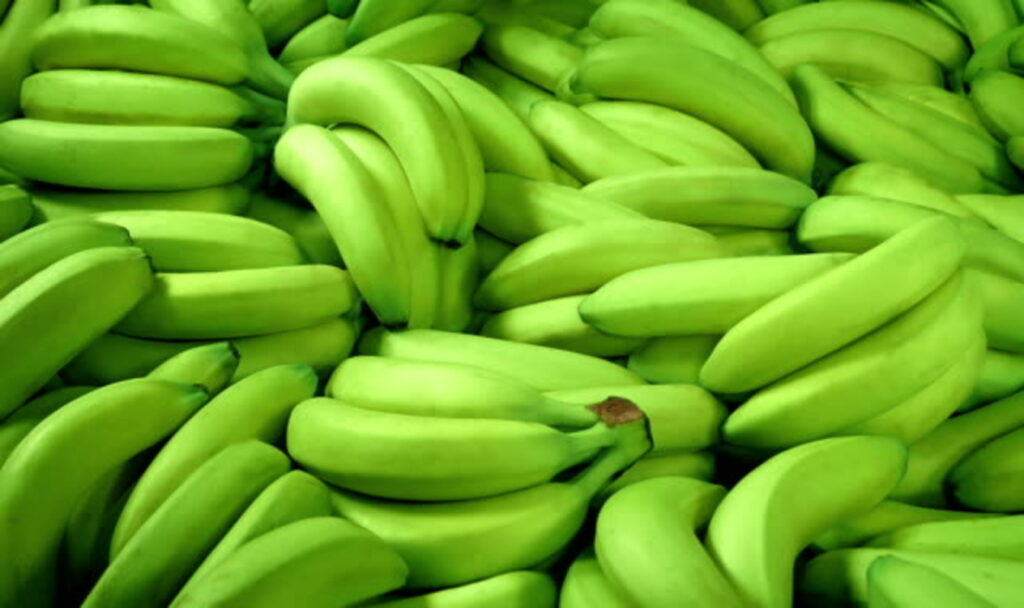 Green banana pile