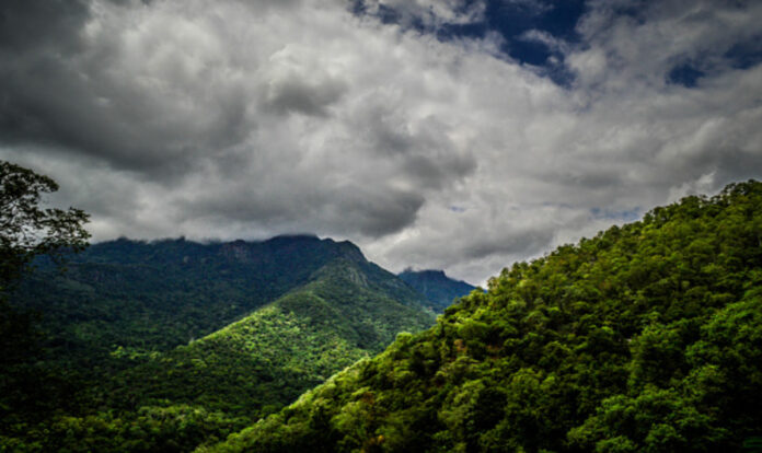 Green mountain scenic view of Valparai