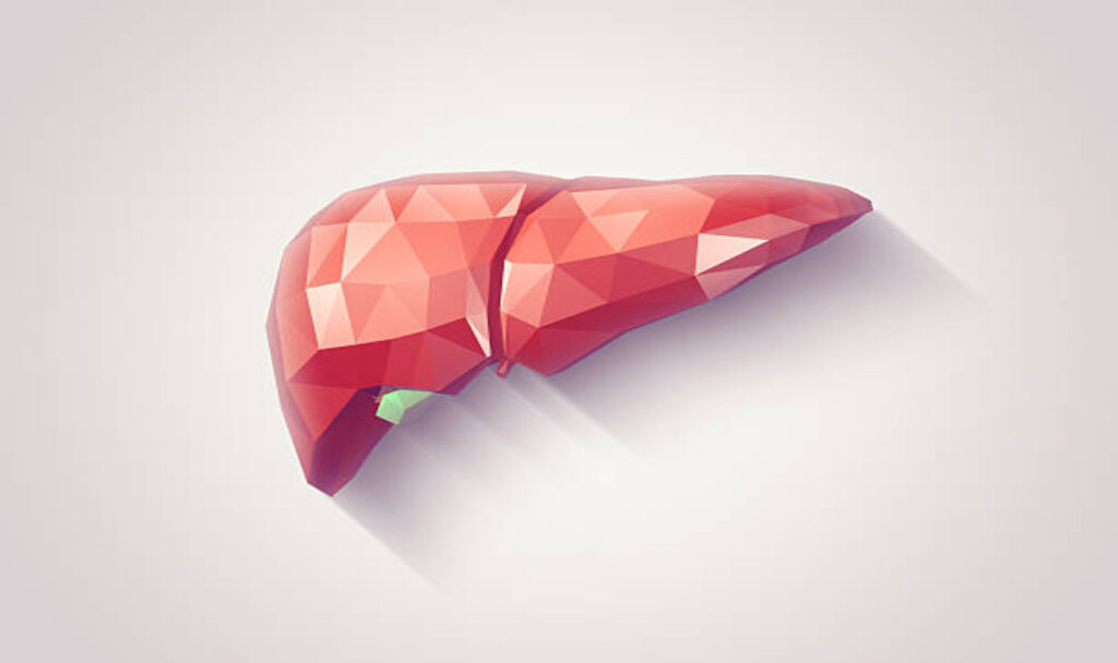Liver