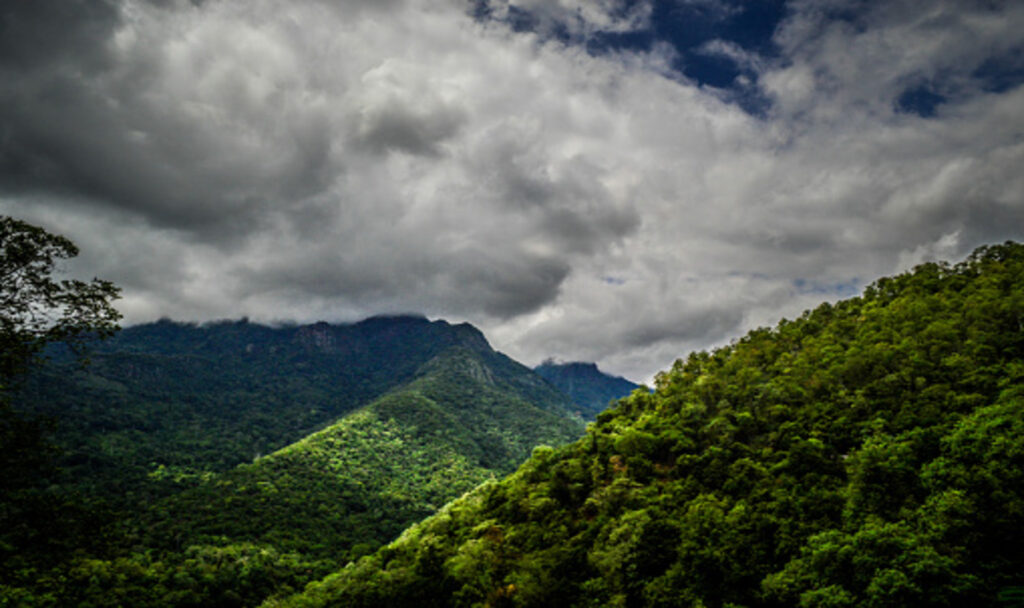 Green mountain scenic view of Valparai